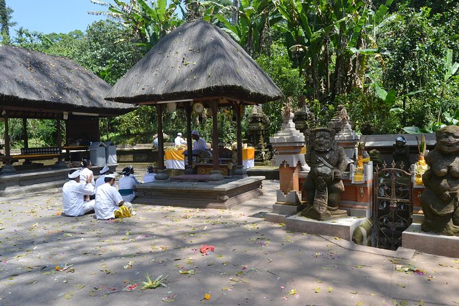 Private Tour: Bali Temple and Countryside Tour - Price and what you’re really getting for $65 per person