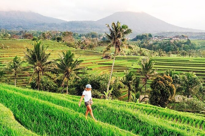 Private Tour: Bali UNESCO World Heritage Sites - Handara Iconic Gate: The Photo Stop With Mountain and Foliage Backdrop