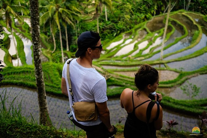 Private Tour: Balinese Culture and Scenery (visit ubud area) - A full-day Ubud circuit that mixes volcano views with spiritual stops