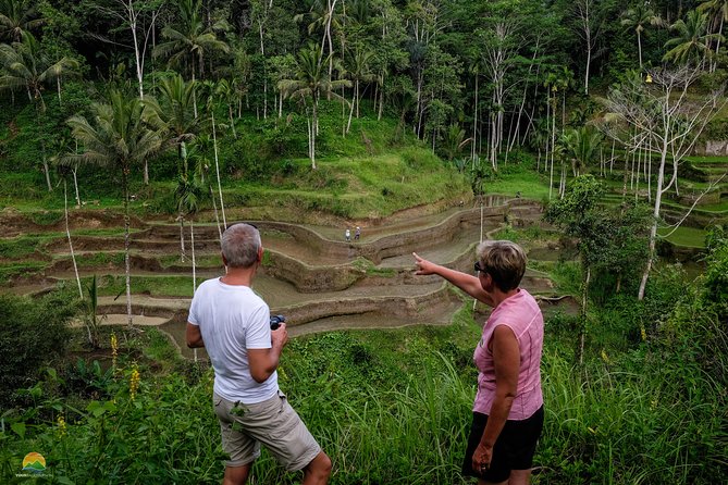 Private Tour: Balinese Culture and Scenery (visit ubud area) - Tegallalang Rice Terraces: photos with a relaxed walking pace
