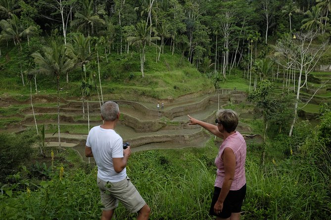 Private Tour: Balinese Culture and Scenery (visit ubud area) - Waterfall choice near Ubud: Tegenungan, Tibumana, or Tuckepn Cepung