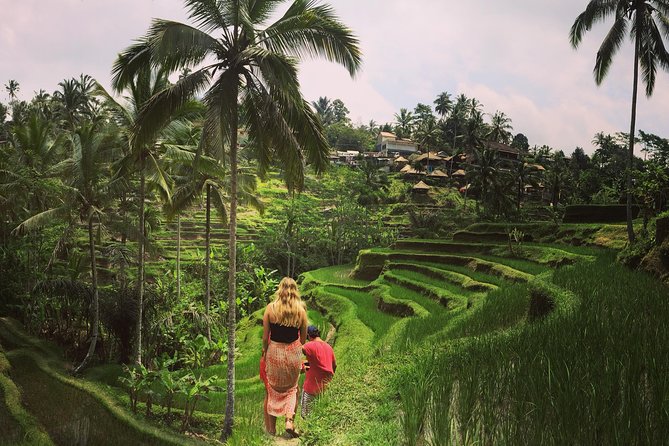 Private Tour: Balinese Culture and Scenery (visit ubud area) - Private transport from Ubud: less stress than you expect