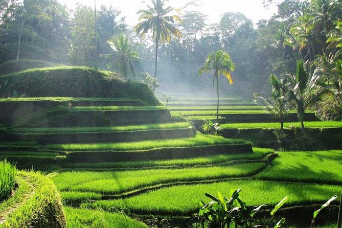 Private Tour: Batuan Temple, Tegenungan Waterfall, Elepahant Cave Free transport - Mas Carving Center: wood artistry you can spot from a distance