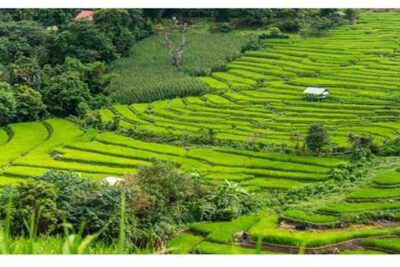Private Tour Bedugul Temple-Jatiluwih-Taman Ayun&Tanah Lot Sunset - Morning start from Kuta: pickup, AC comfort, and timing