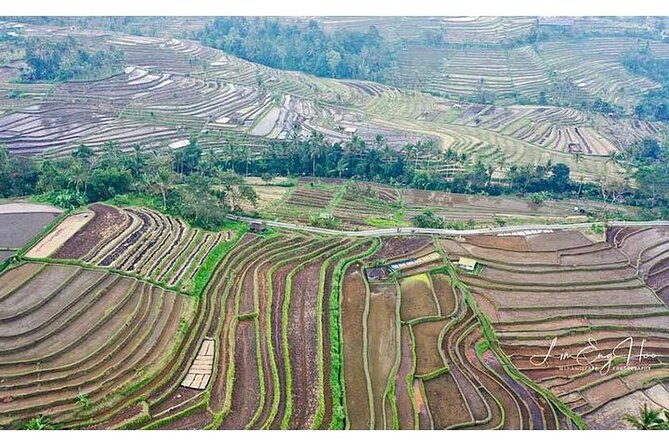 Private Tour Bedugul Temple-Jatiluwih-Taman Ayun&Tanah Lot Sunset - Your driver as guide: English explanations and a smoother day