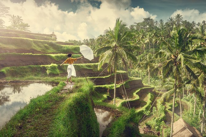 Private Tour: Best of Bali - All Inclusive Tickets - Pickup, Timing, and How the Day Flows