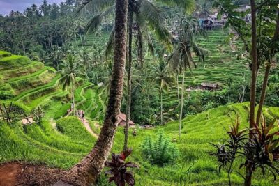 Private Tour: Best of Bali - All Inclusive Tickets - Puseh Batuan Temple: Sarongs, Carvings, and Temple Etiquette