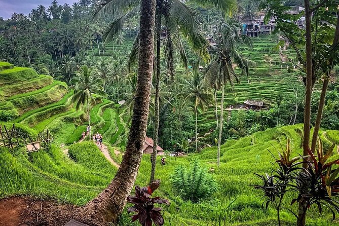 Private Tour: Best of Bali - All Inclusive Tickets - Puseh Batuan Temple: Sarongs, Carvings, and Temple Etiquette