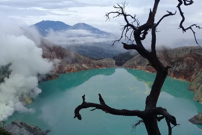 Private Tour : Bromo Ijen Tour From Bali - Key highlights you’ll feel on the ground