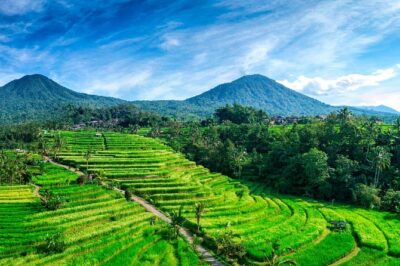 Private Tour: Handara Iconic Gate, rice terrace & Ulundanu Temple - Ulun Danu Bratan Temple: Lakeside Gardens and Calm, Sacred Views