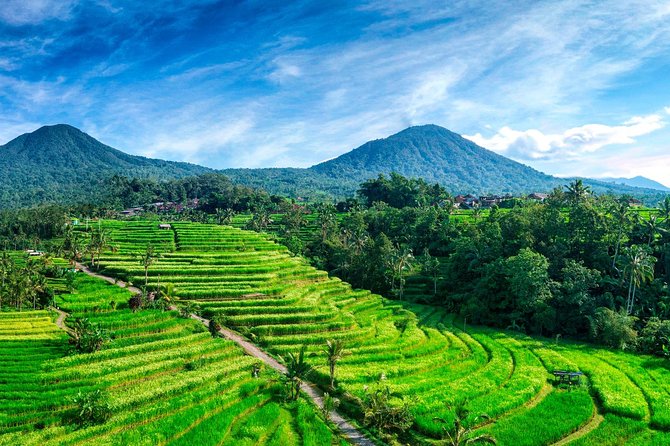 Private Tour: Handara Iconic Gate, rice terrace & Ulundanu Temple - Ulun Danu Bratan Temple: Lakeside Gardens and Calm, Sacred Views