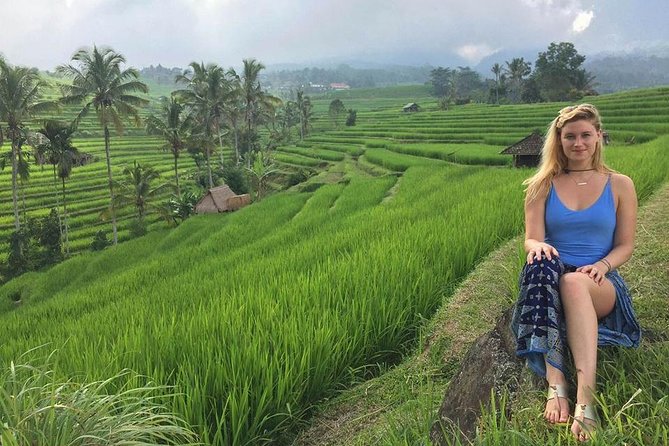 Private Tour Highlight of Bedugul and Jatiluwih Rice Terrace - Stop 3: Jatiluwih rice terraces and the UNESCO view line