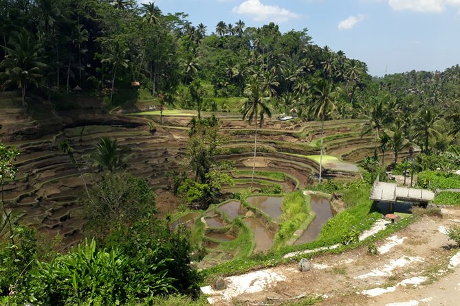 Private tour in Ubud country side - Pickup From Kuta and the 8–10 Hour Schedule That Actually Works