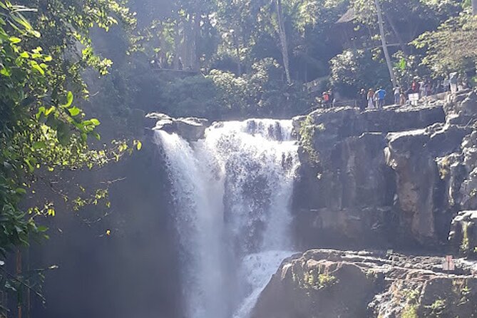 Private tour in Ubud country side - Tegalalang Rice Terrace: The Short Stop That Still Delivers Big Views