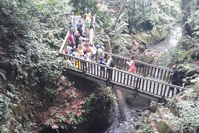 Private tour in Ubud country side - Lunch at Tebasari Resto, Bar & Lounge: A Breather You Can Actually Plan