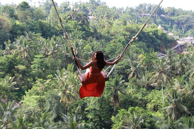 Private Tour : Individual costumize route with FREE - WIFI - Who should book this private Bali driver day?