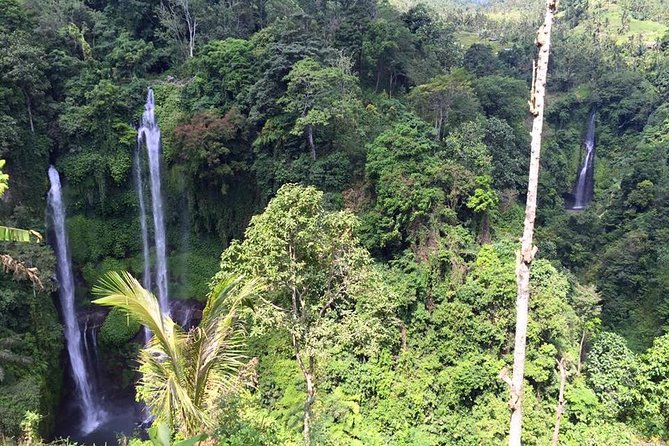 Private Tour: Jatiluwih Rice Terrace,Ulun danu and Banyu Mala Waterfall Tour - Jatiluwih Rice Terraces UNESCO: why Subak changes how you look at the hills