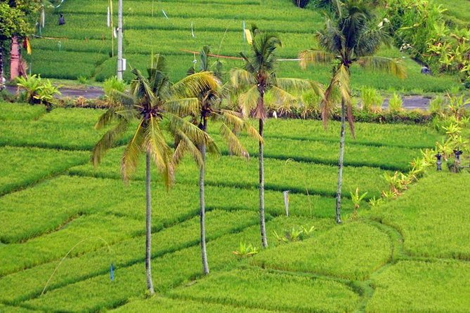 Private Tour: Jatiluwih Rice Terrace,Ulun danu and Banyu Mala Waterfall Tour - Handara Iconic Gate: quick photo energy in Wanagiri