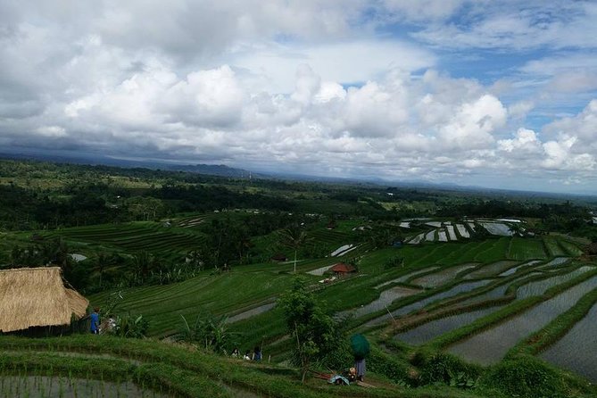 Private Tour: Jatiluwih Rice Terrace,Ulun danu and Banyu Mala Waterfall Tour - Price and logistics: is $82.29 worth it?