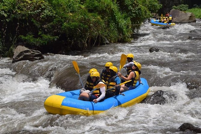 Private Tour Rafting Uluwatu Kecak Dance Sunset and Dinner in Jimbaran Bay - Jimbaran Bay seafood dinner: romantic beach, but dinner is extra