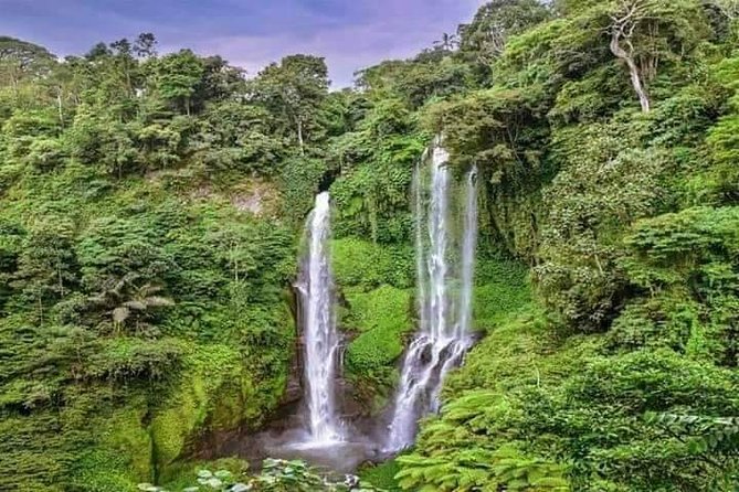 Private Tour Sekumpul Waterfall Combination Beratan Temple & Twin Lakes - Sekumpul Waterfall: The Stair Descent That Turns Into a Reward