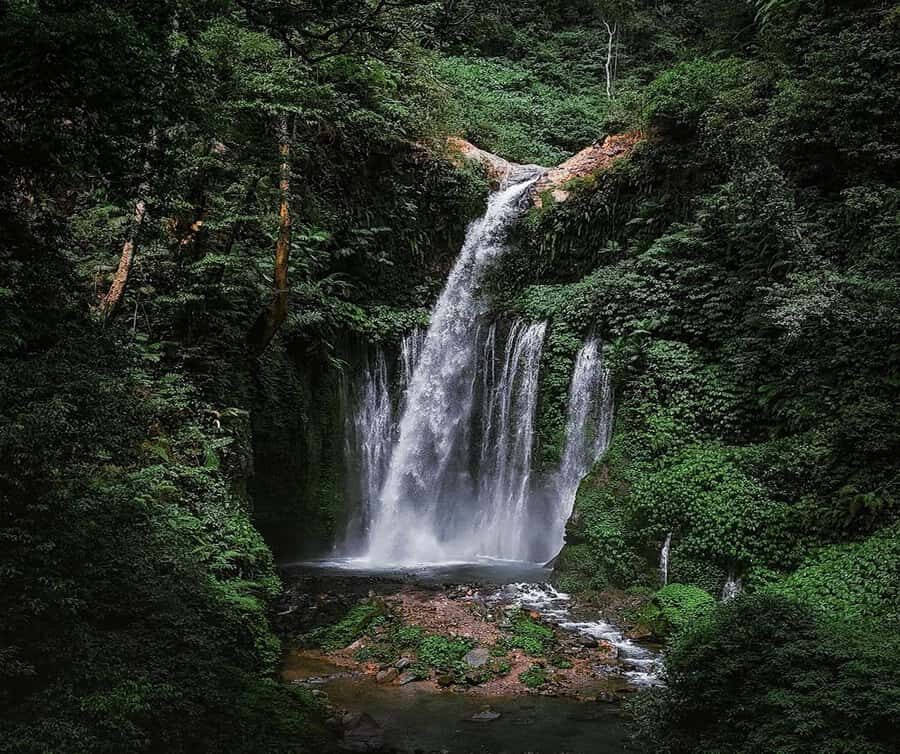 "Private Tour: Sendang Gile, Tiu Kelep Waterfall & Sembalun" - Key things that make this tour worth your time