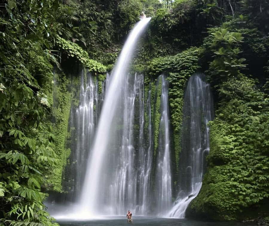 "Private Tour: Sendang Gile, Tiu Kelep Waterfall & Sembalun" - Price and value: what $36 buys you in real terms