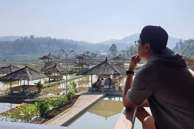 Private Tour to Bandung Volcano Hot Springs and Mud bathing - Tea plantations: an optional scenic stop if you want a softer countryside moment