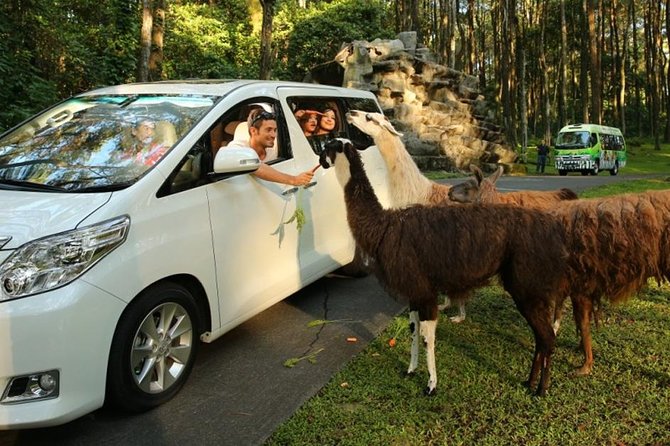 Private Tour To Safari Park & Waterfall (From Surabaya/Malang) - Key highlights at a glance