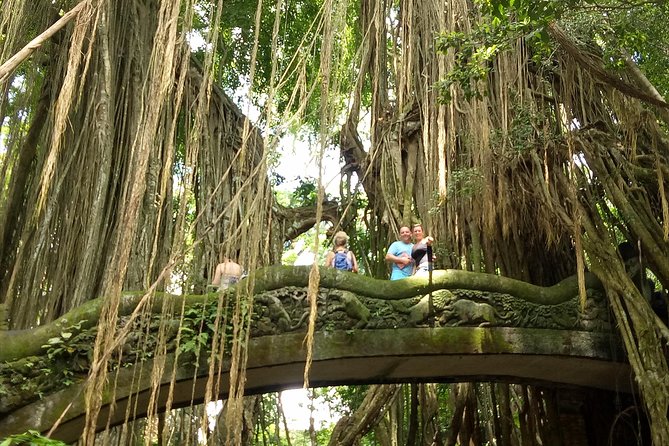 Private Tour to Sumampan Waterfall, Monkey forest, Rice terraces and Swing - Why this Ubud day combo makes sense (waterfall, monkeys, swing, art)