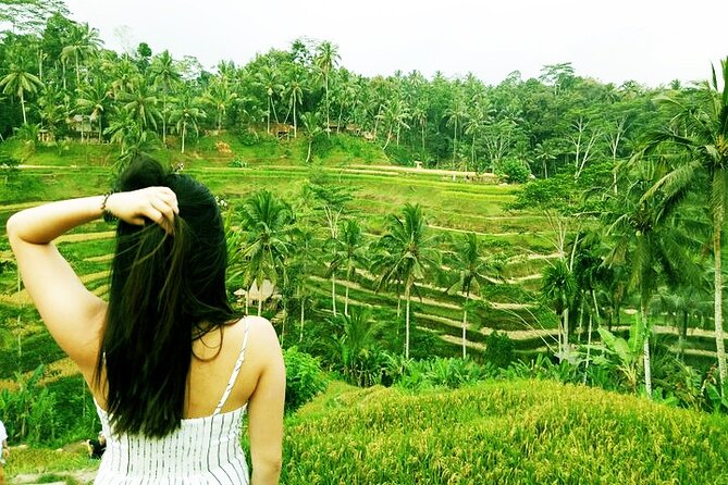 Private Tour to Sumampan Waterfall, Monkey forest, Rice terraces and Swing - Sumampan Waterfall: how to make the most of a 45-minute stop