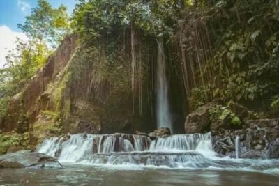 Private Tour to Sumampan Waterfall, Monkey forest, Rice terraces and Swing - Pickup and timing: how to set yourself up for a smooth 8–10 hours