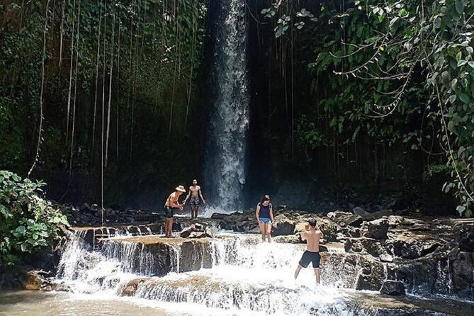 Private Tour to Sumampan Waterfall, Monkey forest, Rice terraces and Swing - Sacred Monkey Forest Sanctuary: enjoy it, but treat it like wildlife