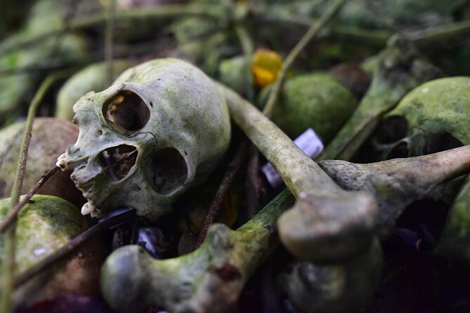 Private Tour to Trunyan Village "Skull Island of Bali" - Trunyan Skull Island: What This Trip Is Really About