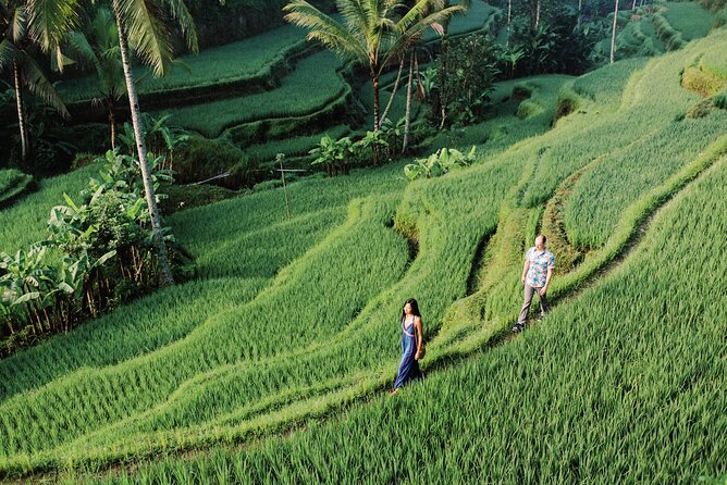Private Tour Top Sights of Bali in One Day - Tegalalang Rice Terraces: The Classic Bali View You’ll Understand