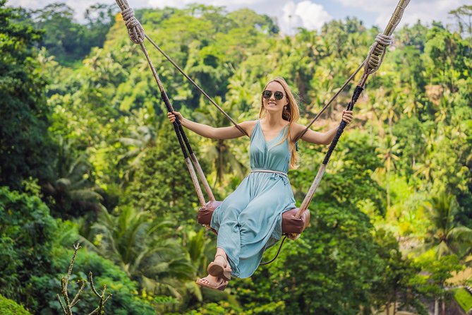 Private Tour: Ubud Highlights - Tegalalang Rice Terrace: a short trek for big views