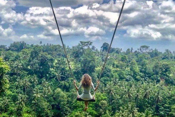Private Tour Ubud & Jungle Swing - All Inclusive - A private Ubud day that actually saves your energy
