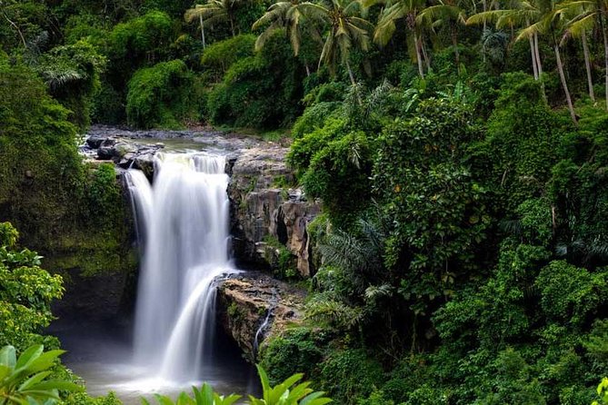 Private Tour - Ubud Kintamani Tours - Pickup and an AC Ride: Small Detail, Big Difference