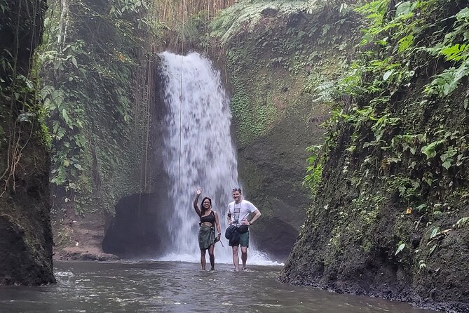 Private Tour Ubud: Swing at Rice Field with Temple and Waterfall - Setting up a smooth Ubud day from Denpasar