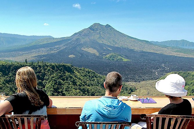 Private Tour: Waterfall, Kintamani Volcano, Ubud Tour with Lunch - Price and logistics: what your $65 includes