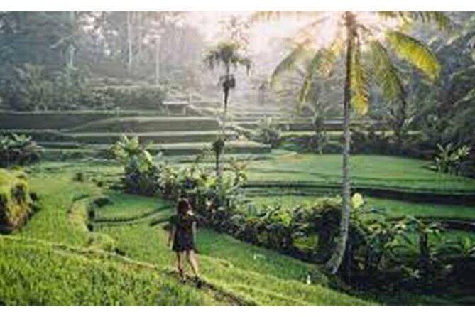 Private Tour:Kintamani Volcano Tour With Entrance Ticket & Hotel Transfer - Mas Wood Carving Center: Souvenir Shopping With Artistic Intent