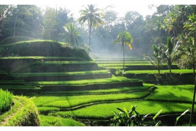 Private Tour:Kintamani Volcano Tour With Entrance Ticket & Hotel Transfer - Celuk Village for Gold and Silver Craft: Watch the Real Making Process