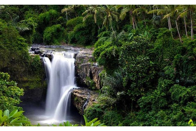 Private Tour:Kintamani Volcano Tour With Entrance Ticket & Hotel Transfer - Price and Value: What $68.50 Covers (and What It Doesn’t)