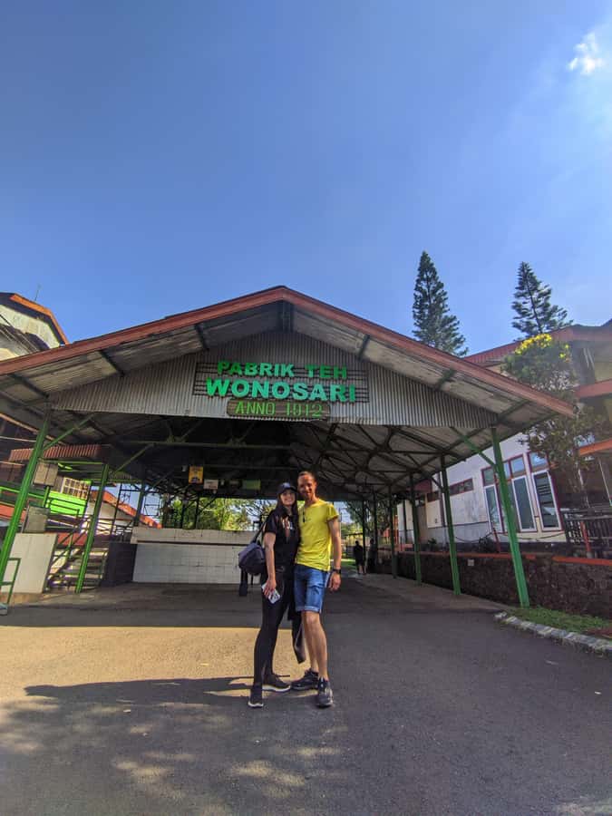 Private Trip Malang/Surabaya : Tour Tea Plantation Wonosari - Tea garden walking and picking leaves with a local guide