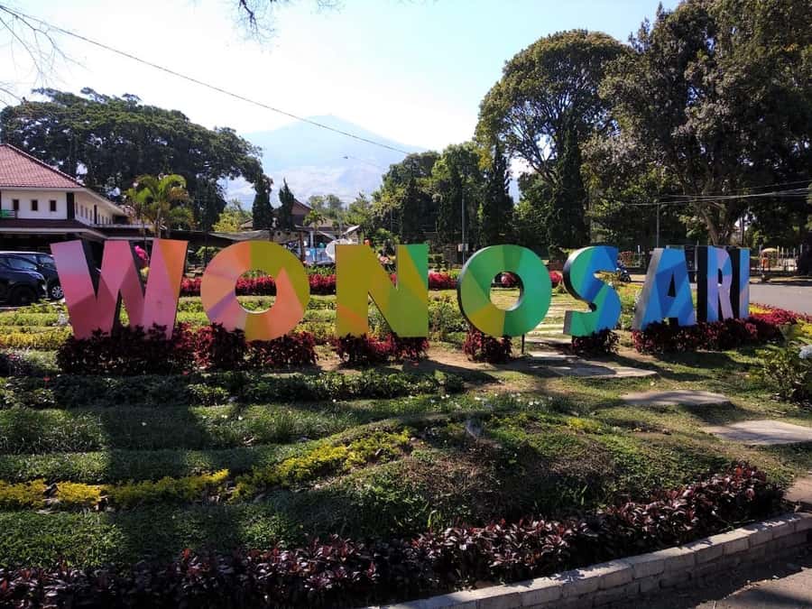 Private Trip Malang/Surabaya : Tour Tea Plantation Wonosari - Tea tasting and a free drink that closes the loop