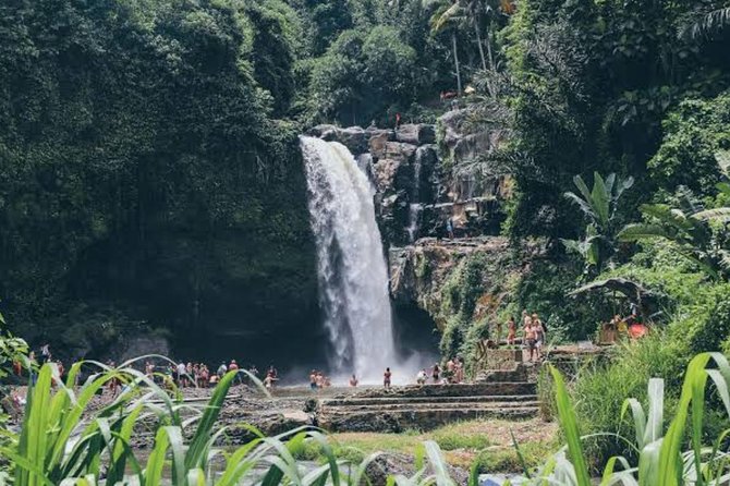 Private Ubud Day Tour - Tegalalang Rice Terrace: The Views Are the Whole Point