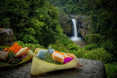 Private Ubud Day Tour - Sacred Monkey Forest Sanctuary: A Jungle Walk With Temples