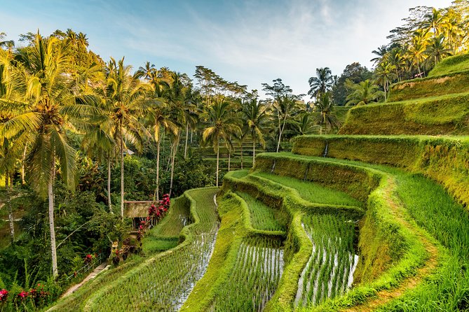 Private Ubud Day Tour - The Driver Can Make (or Break) the Day: Sudi and Made Kepo