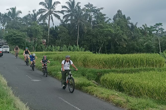 Private Ubud Downhill Cycling with Volcano, Rice Paddies & Meal - Your Morning Setup: Pickup, Bali Bikes, Helmets, and Breakfast
