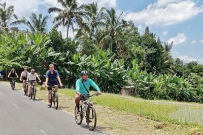 Private Ubud Downhill Cycling with Volcano, Rice Paddies & Meal - Plantation Stop: Learning the Uses of Flora and Tasting Tropical Fruit